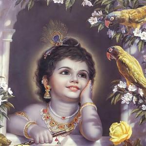 111Hz Frequency To Raise Positive Vibrations