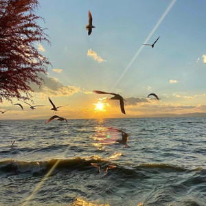 飞(prod.YzSword XBino)