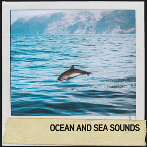 Soft Ripple Splashing