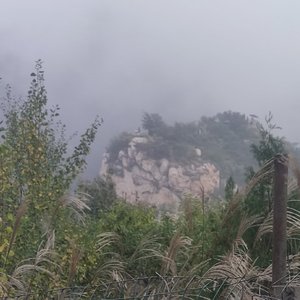 张同学专用背景音乐