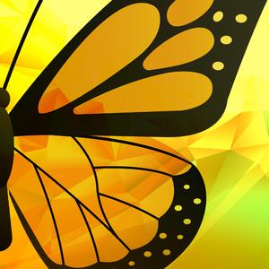 Another new framewok has been born