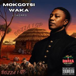 MOKGOTSI WAKA