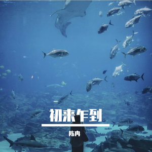 命