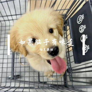 怡崽很甜-姐姐（怡崽很甜 remix）