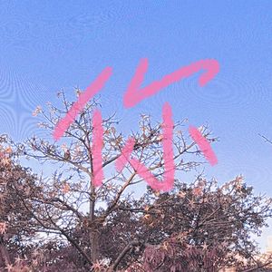 你