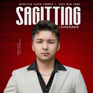 Sagittig（清醒了我）