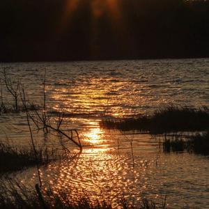 视频提取音频_哪里都是你164