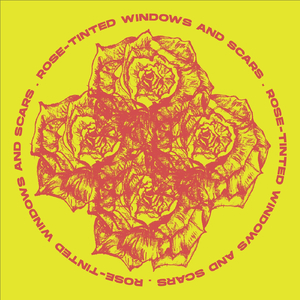Rose-Tinted Windows and Scars