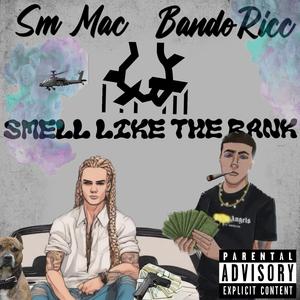 Smell Like The Bank (feat. BandoRicc & 590R7M0D3)