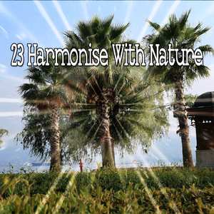 大自然的和平禮物