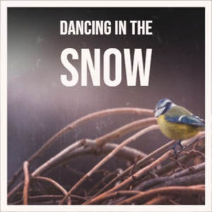 Final Farewell 21 Mt Tag5b