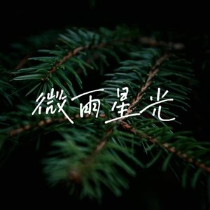 微雨星光