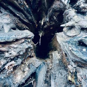 Hyena Laugh (feat. Demersal & Sophia Larsdotter)