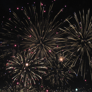 胆小鬼freestyle（Prod.by Lisure）