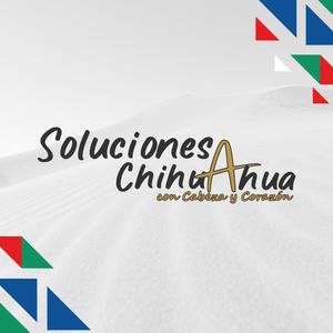 Soluciones Chihuahua con Cabeza y Corazón