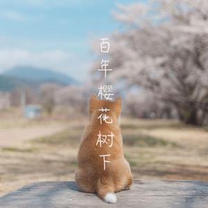 百年树木X樱花树下（钢琴曲）