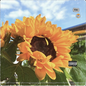 [FREE]暗恋丨抒情 X Guitar Type Beat