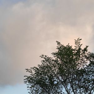 不说再见（Prod By Wazier)