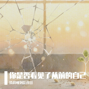 你是否看见了从前的自己（第二版）