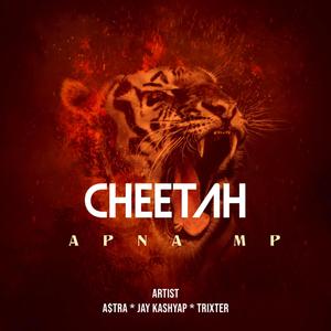 Cheetah (feat. Jay Kashyap) (Remix Version)