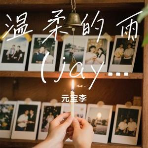 温柔的雨 (jay版) (元宝李 Remix)