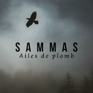 Ailes de plomb
