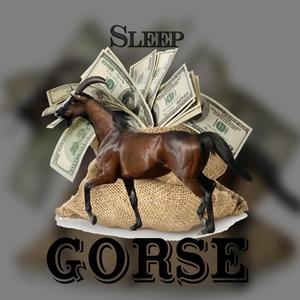 No Subliminal (feat. Ruga)