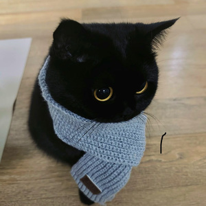 陈粒-走马（remix）