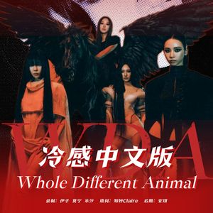 WDA（中文版）