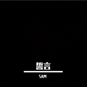 破碎的誓言