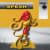 Slow Groove - Spesh (Original Mix)