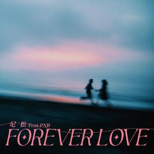 forever love (我爱你只是因为你)