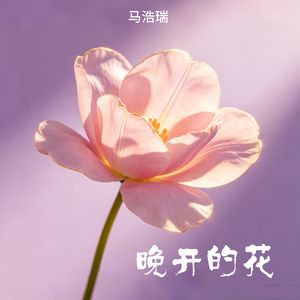 晚开的花