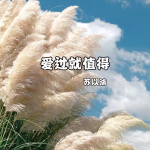 爱过就值得（DJ版）