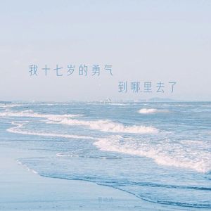 我十七岁的勇气到哪里去了