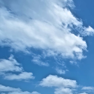 一起跳甜妹手势舞