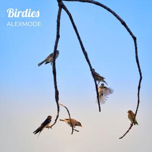 Birdies