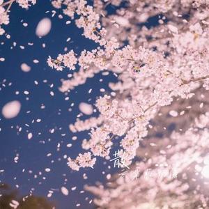 サクラ、散ル夜ニ