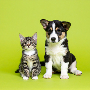 Desencadenando Rimas Para Buenos Momentos