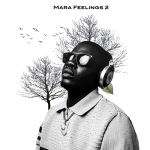 Mara Feelings 2
