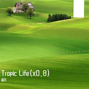 Tropic Life（神明都不及你)
