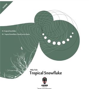 Tropical Snowflakes (David Lacroix Remix)