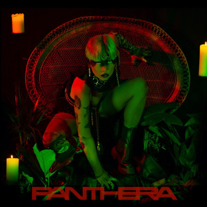 Panthera