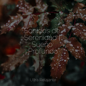 Pausas De Descanso