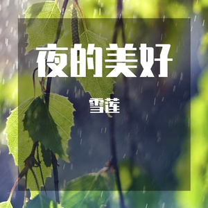 阴雨天