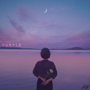 젊은 베르테르의 슬픔