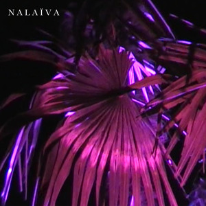 Problem (Nalaïva Version)