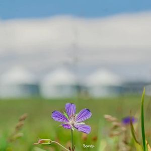 独自一人(prodByHoney）