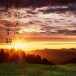 光的方向(翻自:张碧晨)(完整版)（翻自 无）