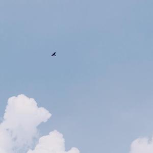 夏日漱石（相信未来）（翻自 橘子海 (Orange Ocean)）